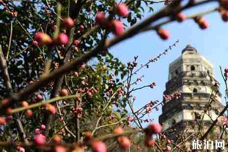 虎丘景区介绍+开放时间+门票 虎丘景区预约购票攻略