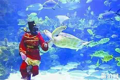 佛山春节哪里适合亲子游2019 佛山春节哪里适合亲子游2019