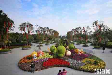 2019广州郁金香花展在哪里+时间+门票+交通+介绍