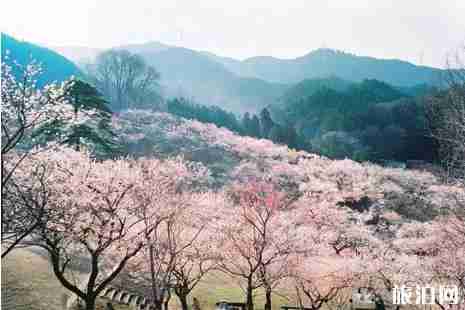 江浙周边旅游点二日游推荐 江浙周边旅游点二日游推荐