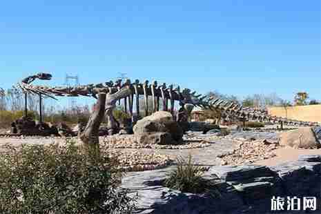 2019辽宁朝阳鸟化石公园庙会2月1日至5日