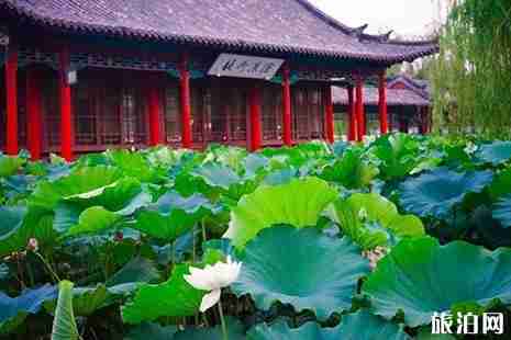 山东有哪些不得不去的旅游景点 山东有哪些不得不去的旅游景点