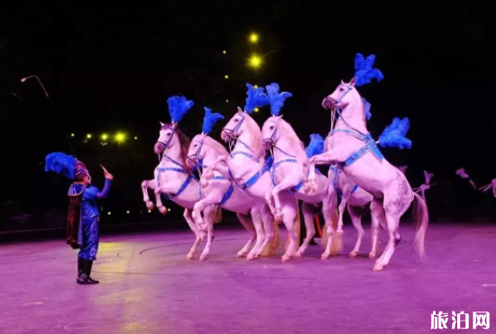 重庆年后去哪玩比较好 2019重庆元宵节有什么好玩的 重庆年后去哪玩比较好 2019重庆元宵节有什么好玩的