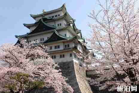 2019日本愛知縣櫻花攻略+注意事項 2019日本愛知縣櫻花攻略+注意事項