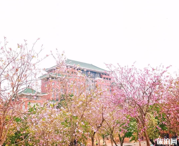 廣州元宵節有什么活動 2019花城廣場燈光秀時間點