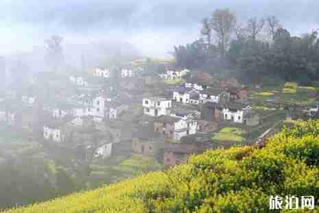 2019婺源油菜花花期+门票+旅游线路 2019婺源油菜花花期+门票+旅游线路