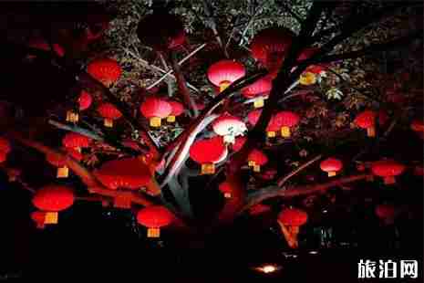 2019成都天府熊猫塔烟花秀时间+地点+门票+交通+介绍 2019成都天府熊猫塔烟花秀时间+地点+门票+交通+介绍