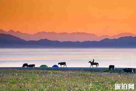 去新疆旅游最好的路线推荐 去新疆旅游最好的路线推荐