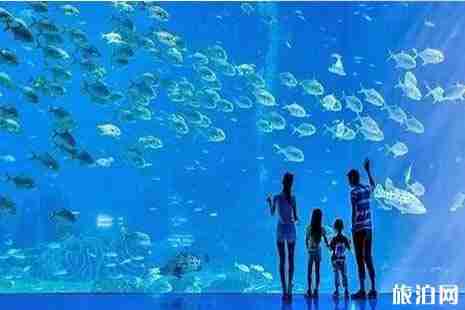 珠海长隆欢海洋王国有哪些项目值得推荐