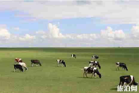 呼伦贝尔大草原北线自驾游旅游攻略 呼伦贝尔大草原北线自驾游旅游攻略