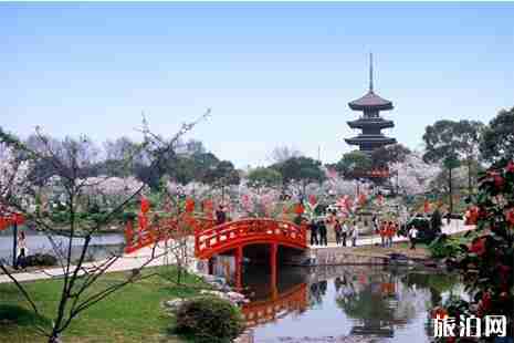 武汉春天哪里好玩 武汉踏春攻略 武汉春天哪里好玩 武汉踏春攻略