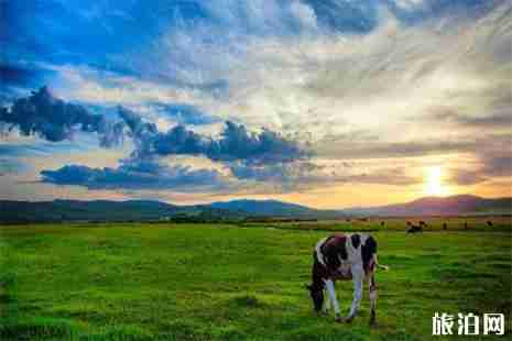 呼伦贝尔大草原南北环线路线 附详细路线