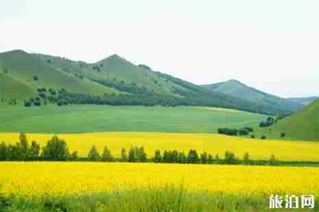 呼伦贝尔大草原南北环线路线 附详细路线