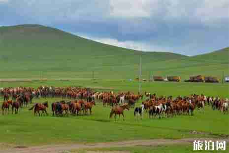 呼伦贝尔大草原南北环线路线 附详细路线