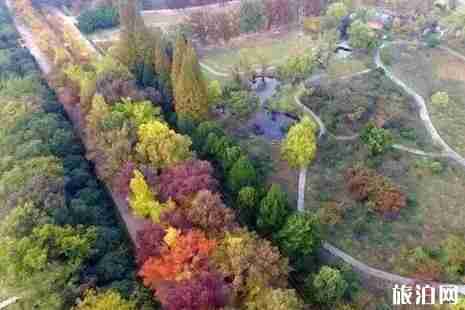 2019南京赏花时间表 2019南京赏花时间表