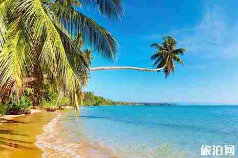 第一次出门旅游怎么办 需要注意些什么