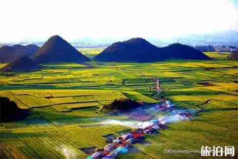 贵州油菜花观赏地 花期+地点