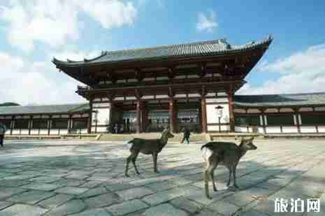 奈良旅游景点介绍+攻略
