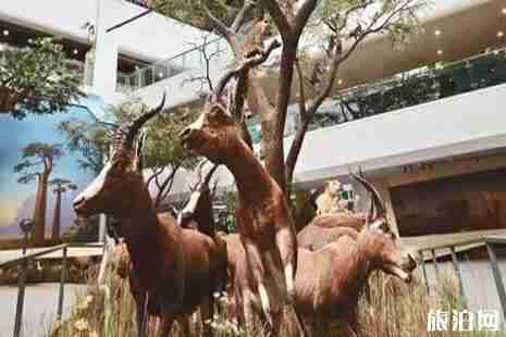 武汉下雨天适合去哪里玩