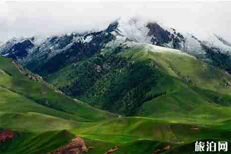 青海春天登山地推荐