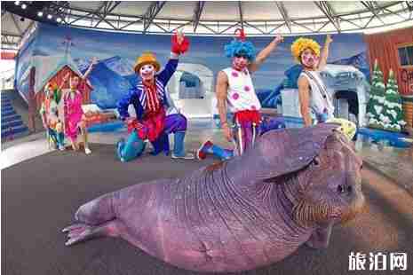 武汉下雨天适合去哪里玩