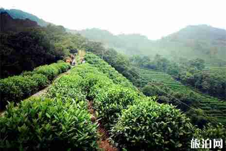 杭州西湖登山路线 春天登山攻略