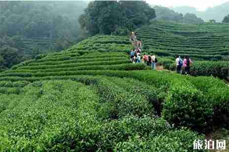 杭州西湖登山路线 春天登山攻略