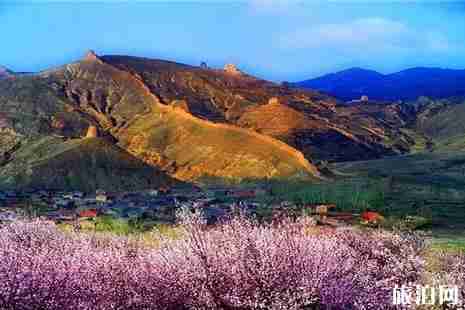 河北杏花什么时候开 河北杏花观赏地推荐
