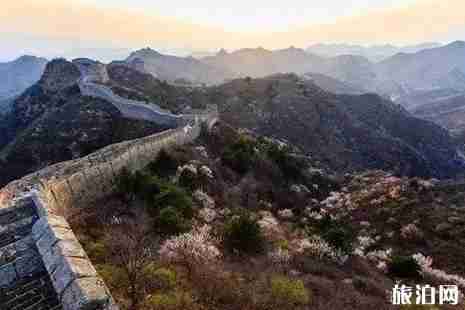 河北杏花什么时候开 河北杏花观赏地推荐