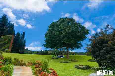 2019深圳仙湖植物园花展 时间+活动 2019深圳仙湖植物园花展 时间+活动