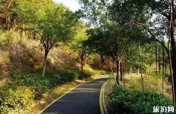 深圳踏青赏花好去处 深圳周末去哪里玩