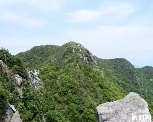 深圳踏青赏花好去处 深圳周末去哪里玩