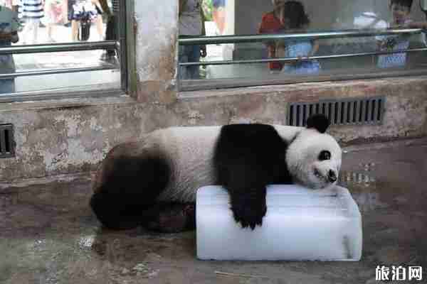 武汉动物园营业时间_开放时间_闭馆时间