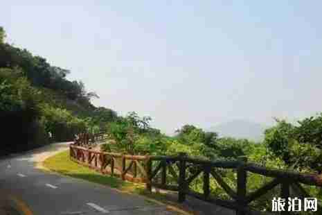 深圳适合骑行的地方推荐