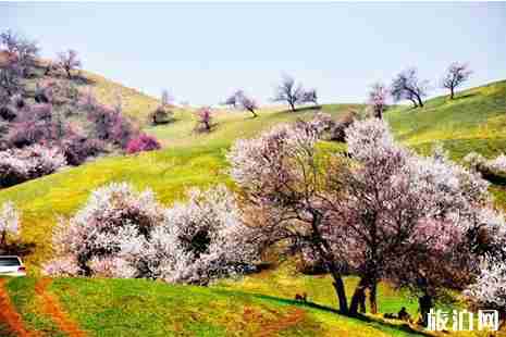 成都周围看花的地方