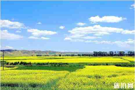 潼南2019年赏花时间表 附潼南景点分布图