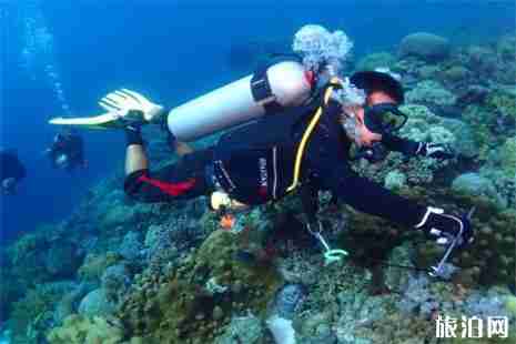 泰国潜水价格+潜水地区