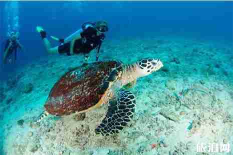 泰国潜水价格+潜水地区