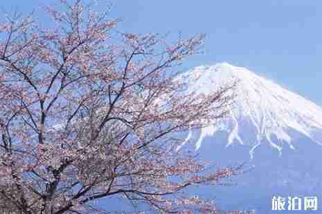 东京住宿价格 东京住宿推荐