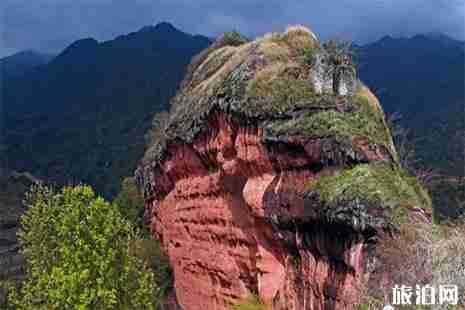 南雄有杜鹃花吗 南雄杜鹃花赏玩攻略 南雄有杜鹃花吗 南雄杜鹃花赏玩攻略