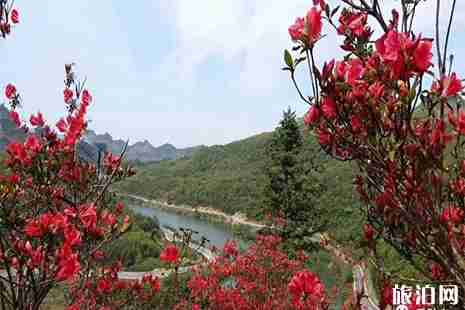 都匀赏杜鹃地点推荐