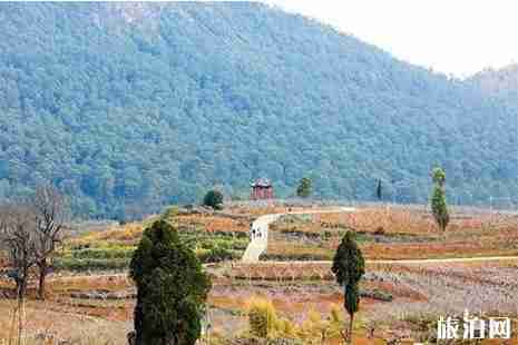 2019云南楚雄禄丰桃文化旅游节