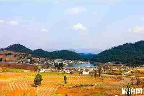 2019云南楚雄禄丰桃文化旅游节