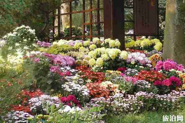 杭州植物园停车多少钱 杭州植物园停车场收费标准