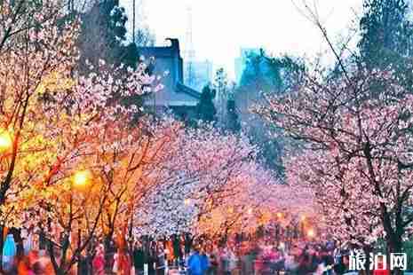 二三月份适合去哪旅游