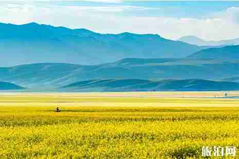 七八月份新疆赏花地推荐 七八月份新疆赏花地推荐