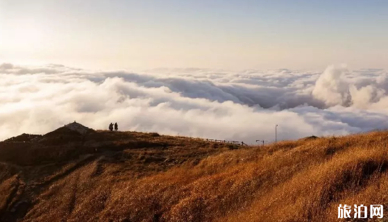 三八妇女节江西免费景点 2019江西三八妇女节旅游优惠 三八妇女节江西免费景点 2019江西三八妇女节旅游优惠