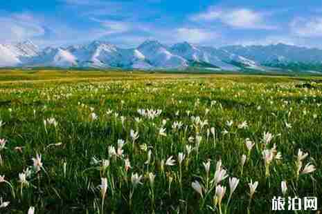 2019年那拉提景区优惠政策汇总 2019年那拉提景区优惠政策汇总