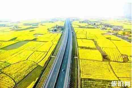 2019湖北油菜花节3月19日开启 赏花全攻略 2019湖北油菜花节3月19日开启 赏花全攻略