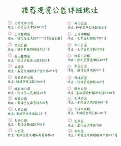 上海看白玉兰的地方推荐 上海看白玉兰的地方推荐